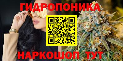 трава Славгород