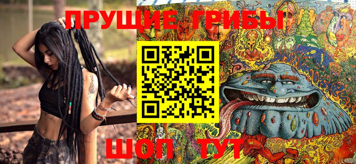 Галлюциногенные грибы GOLDEN TEACHER Новотроицк