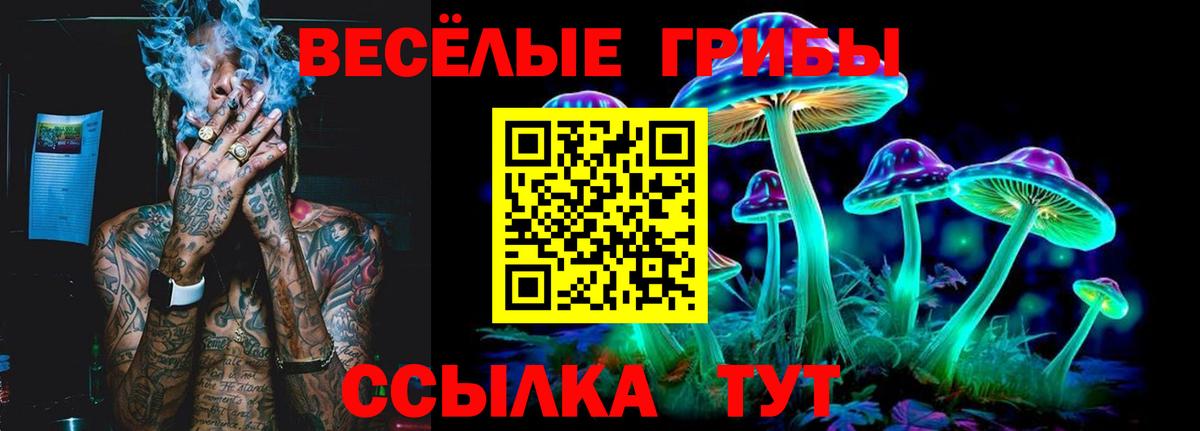 Галлюциногенные грибы мицелий  Псилоцибиновые грибы Cubensis  Новотроицк  Вход с VPN 